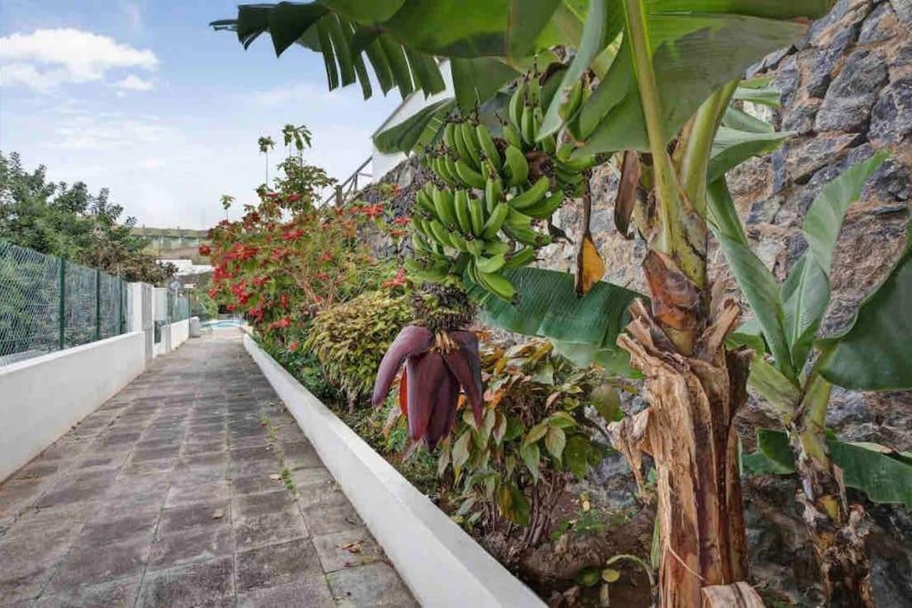 Paradise Studio Belair Wifi, Piscina, Parking Puerto de la Cruz  Luaran gambar